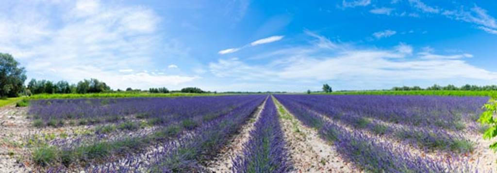un MAS en PROVENCE Distillerie d'huiles essentielles BIO & Cosmétique en Occitanie