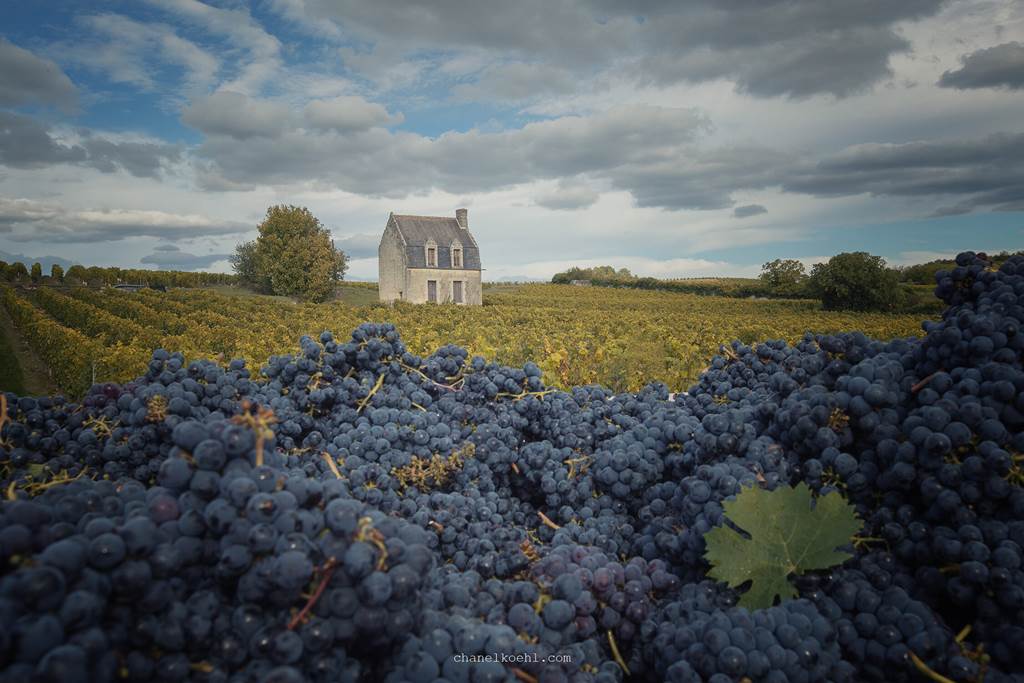 Pierre & Bertrand Couly