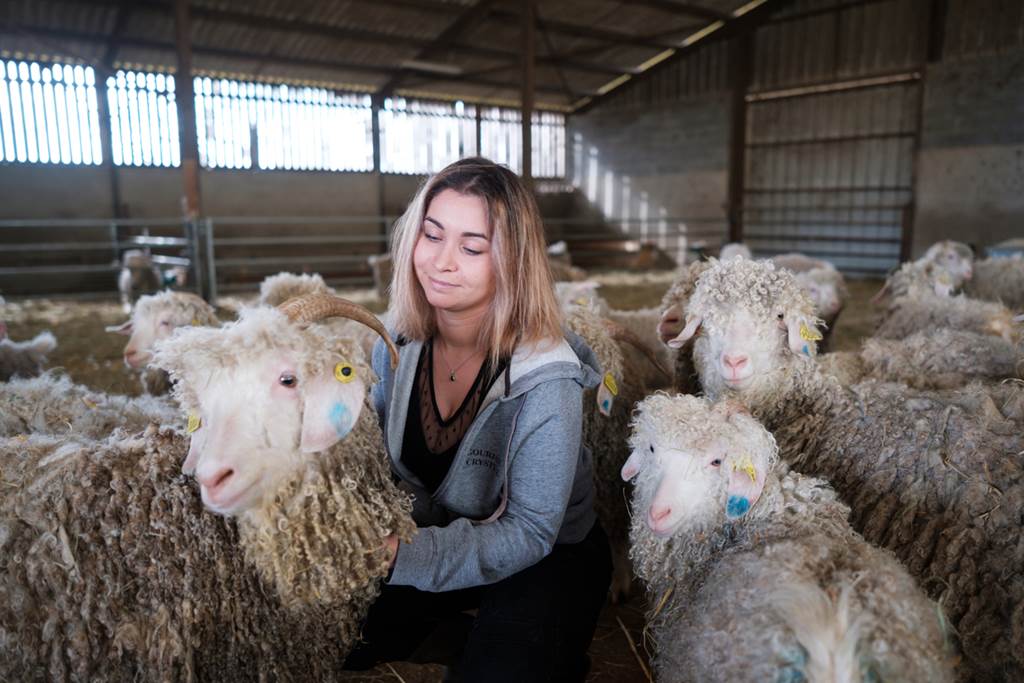 Le mohair de gourjade