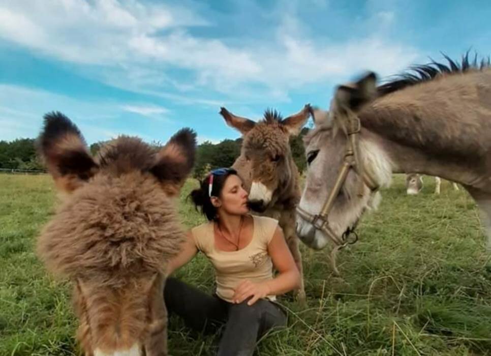 ânes de la ferme Juli'ânesse-little-img-gallery