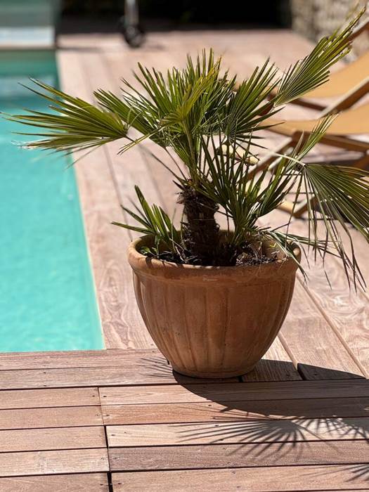 f0d6dc1f-e072-4ecc-937a-977ab4018641