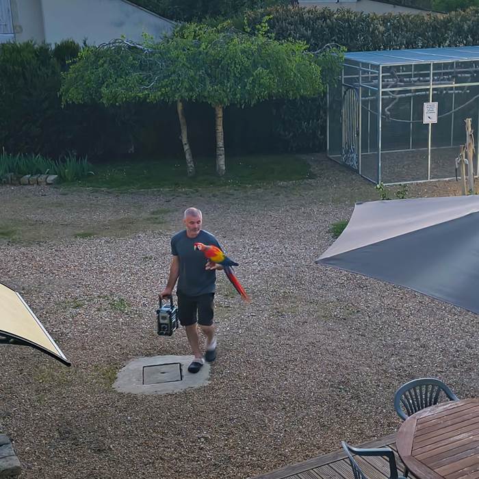 gite-la-fleche-perroquets-experience-unique