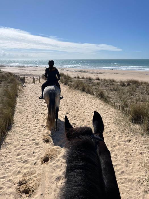 Les plages de l'île de Ré-little-img-gallery