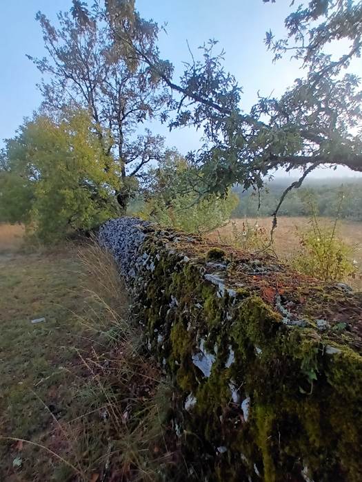 Parc-little-img-gallery