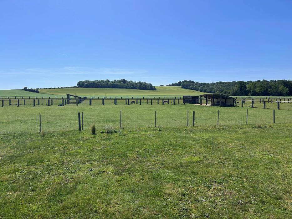 Vue Terrasse Cabane