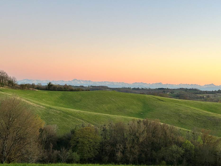 IMG_1459-little-img-gallery