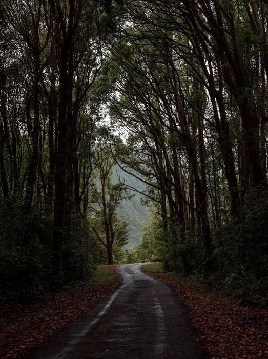 .-little-img-gallery