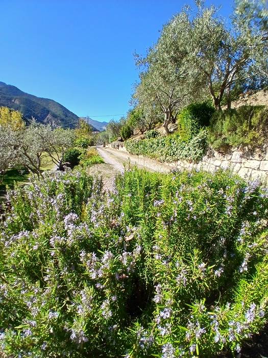 20251005_135736-little-img-gallery