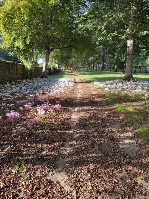 Parc-little-img-gallery