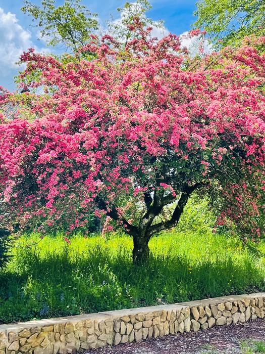 gite_correze_pierres_confort-nature
