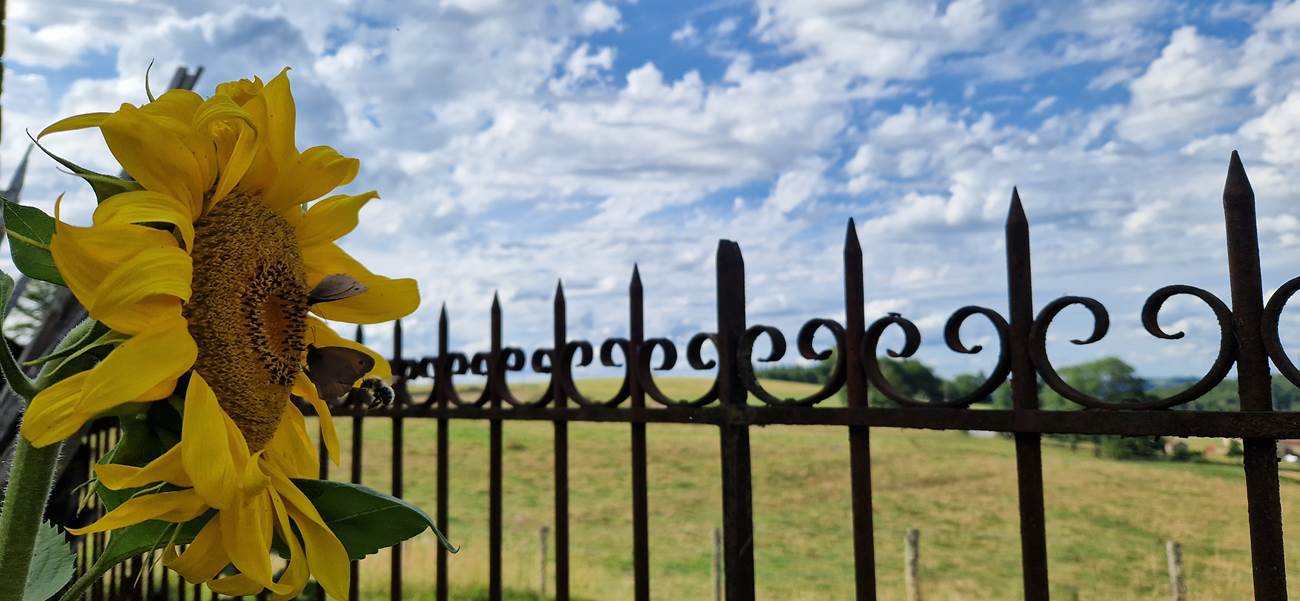 Extérieur_Tournesol-little-img-gallery