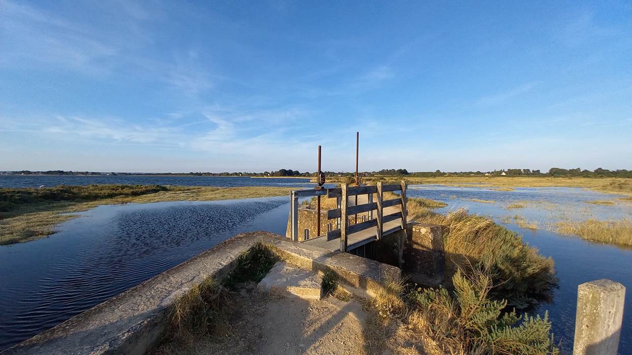 Les marais de Saint Armel - Golfe du Morbihan-little-img-gallery