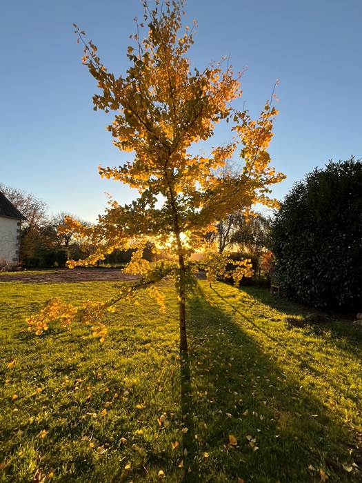 IMG_4693-little-img-gallery