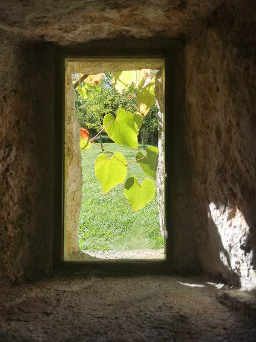 Fenestrou le séchoir-little-img-gallery