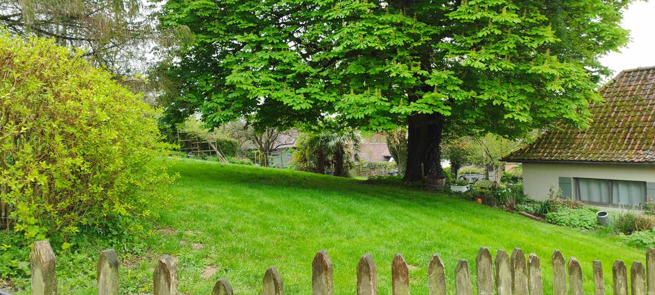 IMG_20230423_115459-little-img-gallery