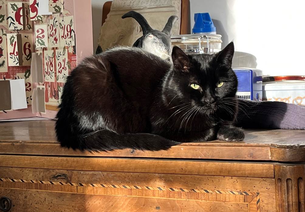 bouille-little-img-gallery