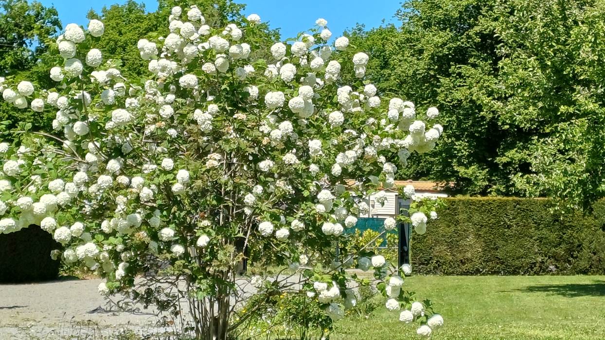 jardin au printemps-little-img-gallery