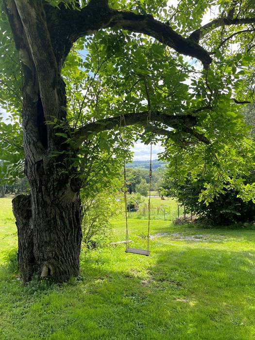 Balançoire sous le noyer-little-img-gallery
