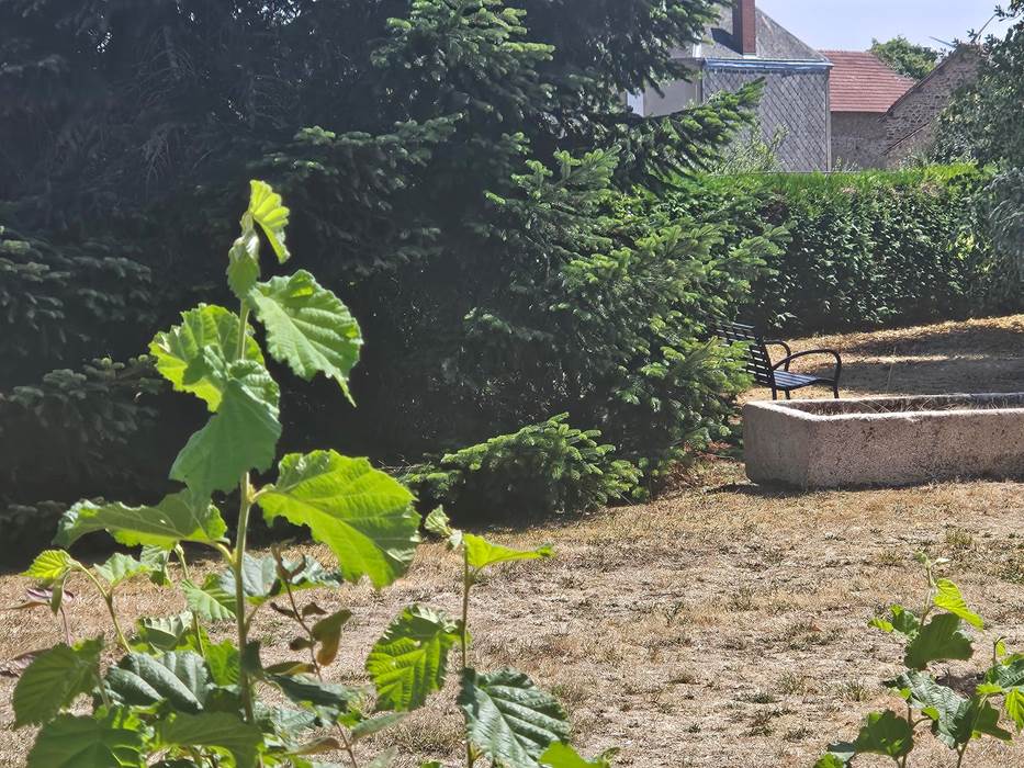 Le Quai d'Neuf — Gîte de groupe en Creuse (15 personnes) - vue jardin