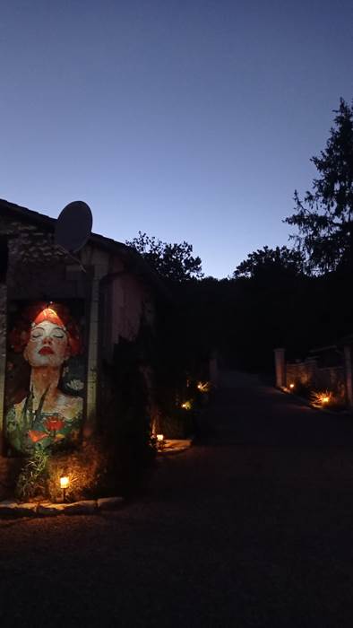 Frida3