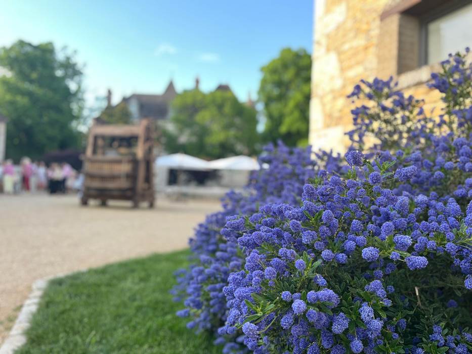 IMG_2970-little-img-gallery