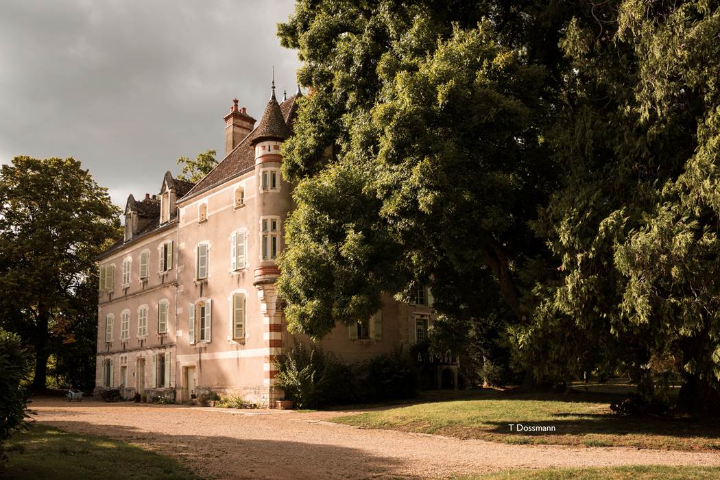 F8E9D2D8-5611-4535-BC1D-738FC3516F9F_1_201_a-little-img-gallery