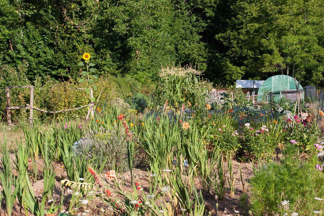 Potager-little-img-gallery