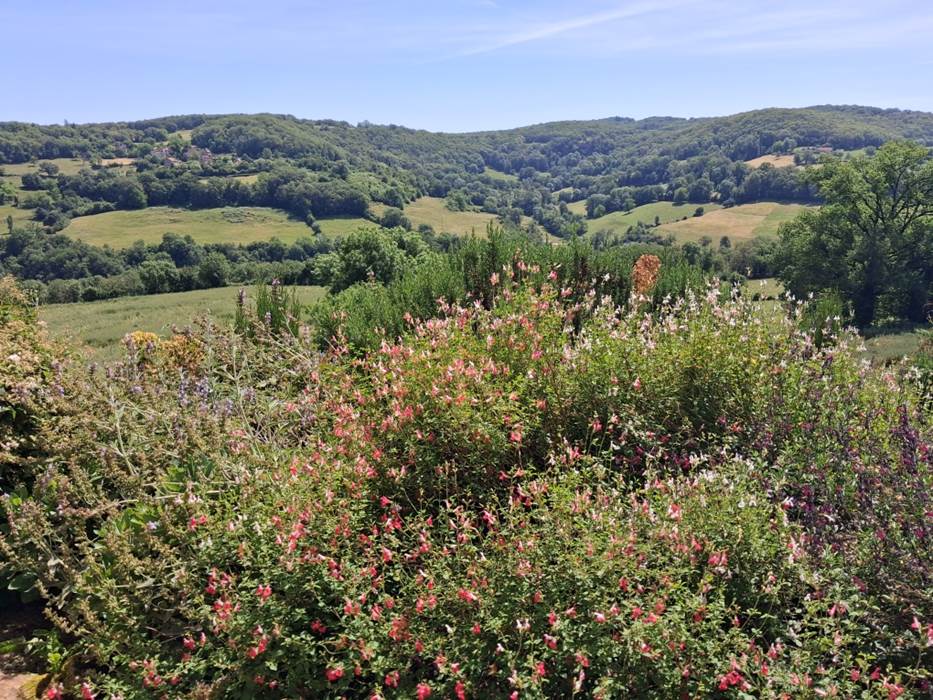 Vue depuis le jardin