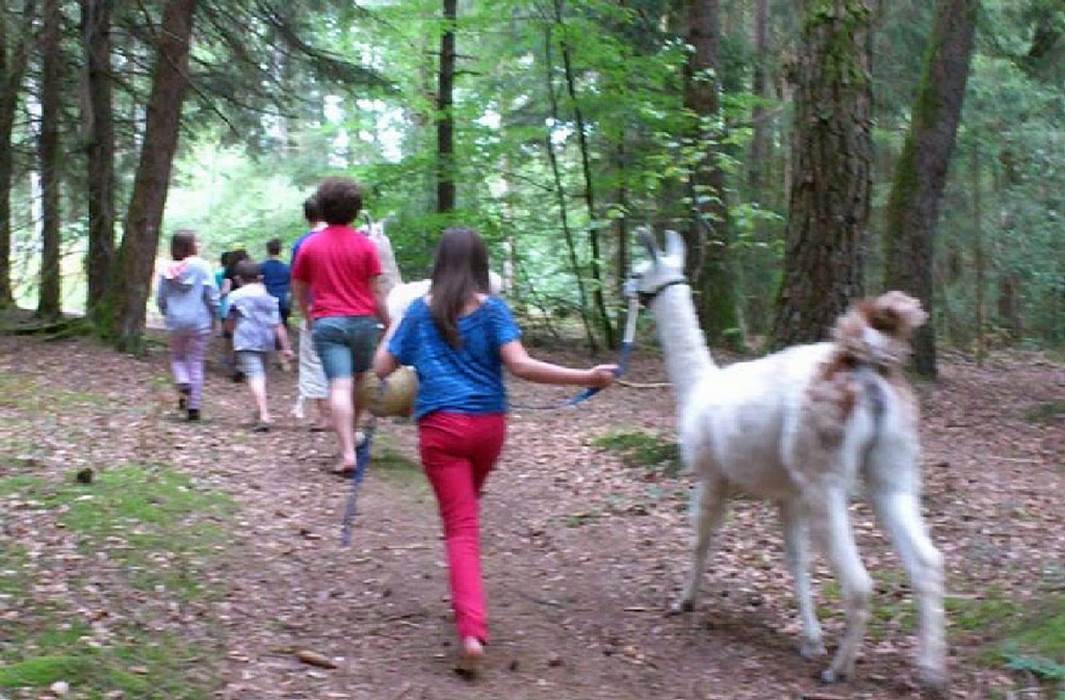 Sans titre-little-img-gallery