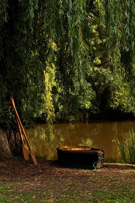 6031f8b0-f359-4b24-8eb5-d843a3cb2d1b