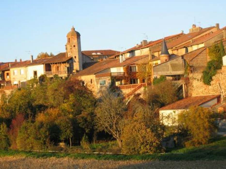 carbonne-10097-2_w500