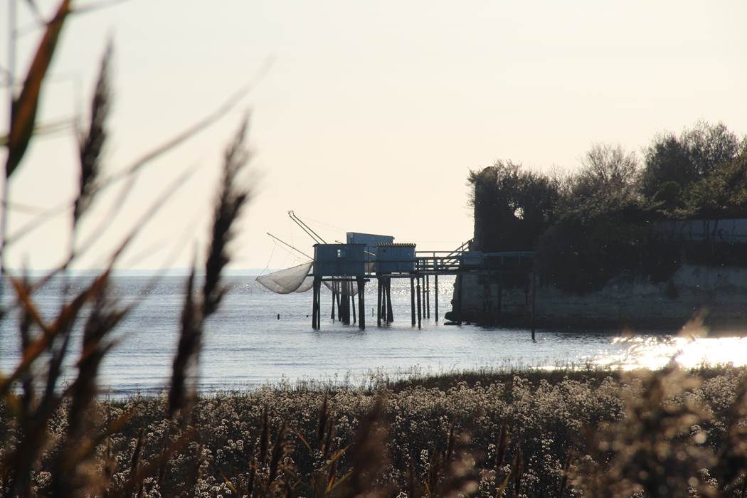 Carrelets de St Georges-little-img-gallery