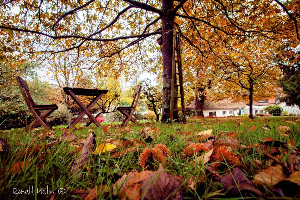 Jardin détente-little-img-gallery