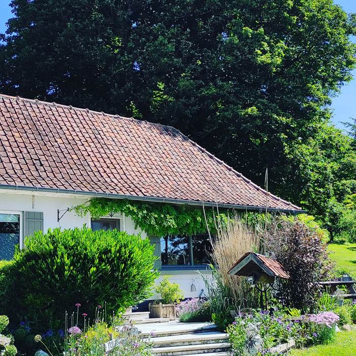 IMG_20210612_161237_606-little-img-gallery