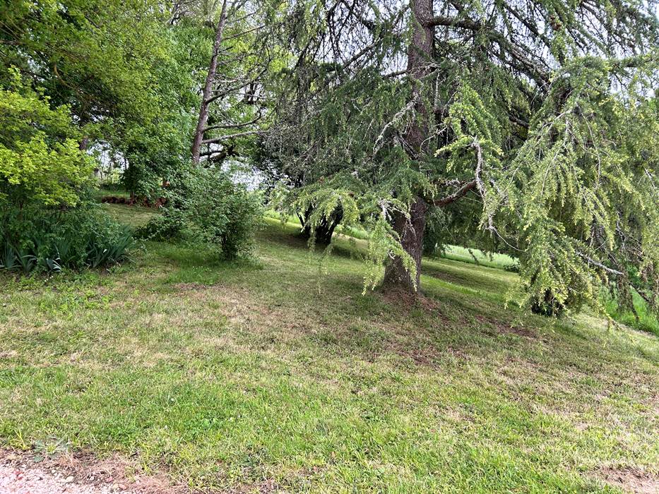 IMG_1517-little-img-gallery