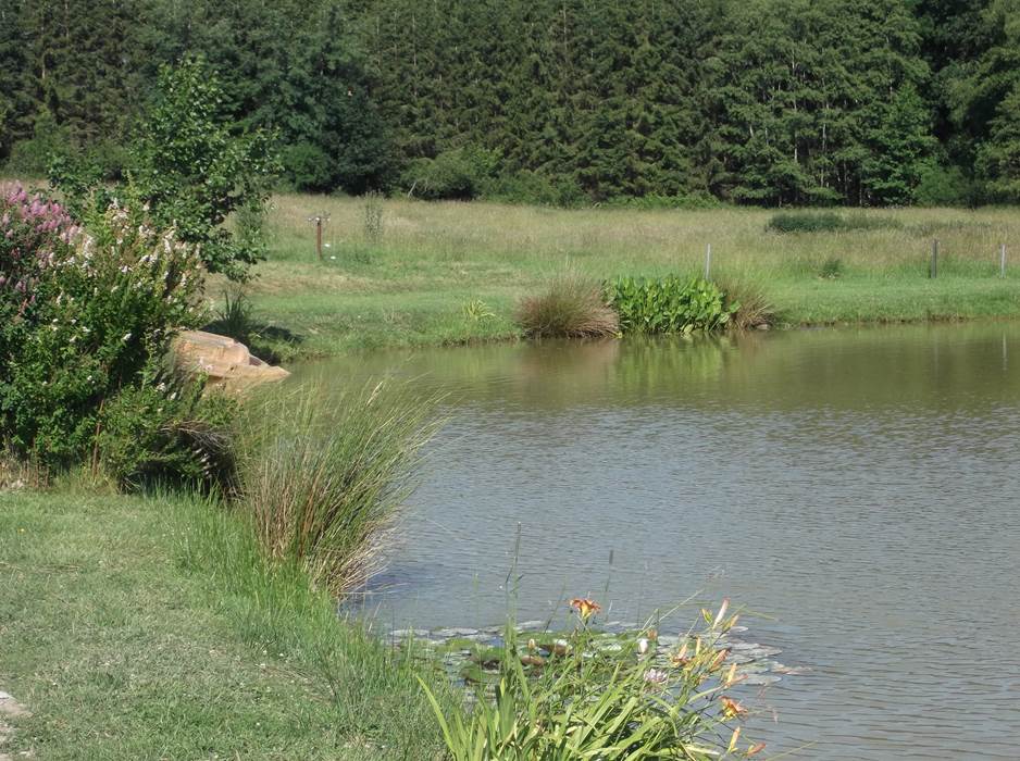 Le Maffe de Scourmont-little-img-gallery