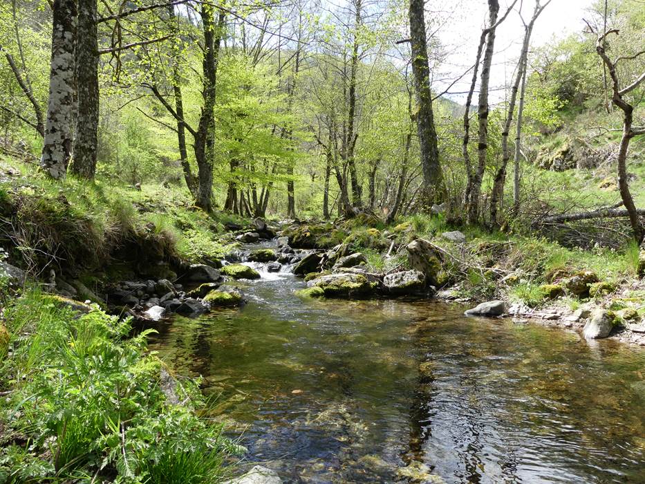 La Lesse-little-img-gallery