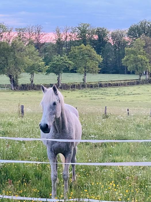 gite_correze_pierres_confort-nature