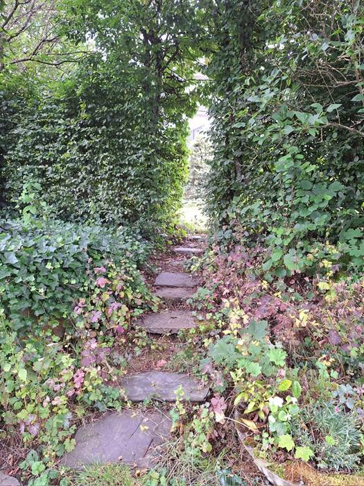 Le jardin et ses recoins-little-img-gallery