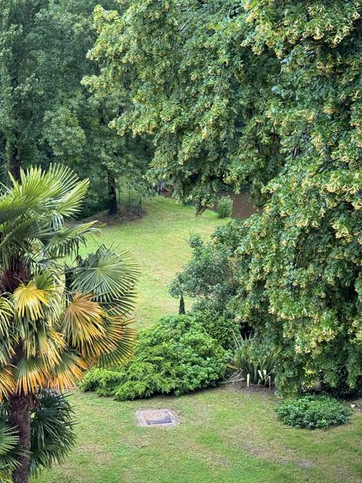 vv4balribbx2picets83