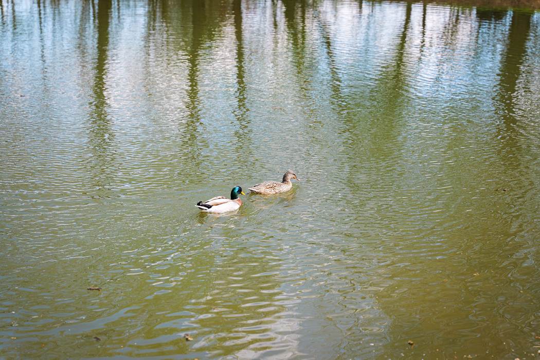 P1000068-little-img-gallery