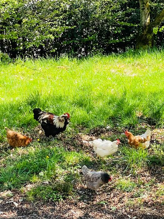 gite_correze_pierres_confort-nature