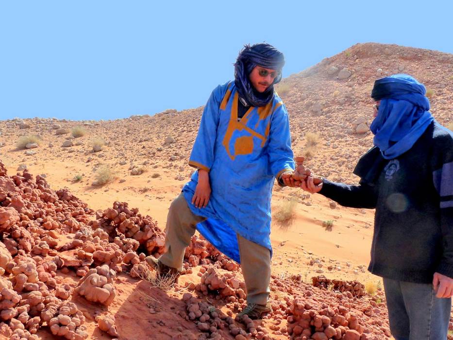 Les roses des sables-little-img-gallery