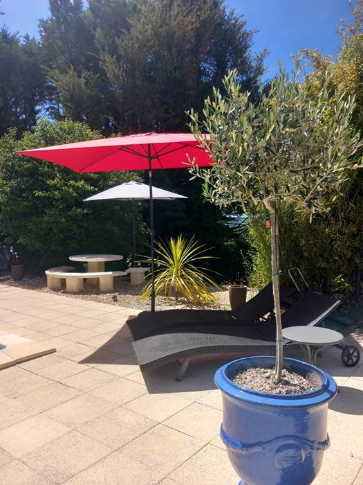 Chaises longues et parasols
