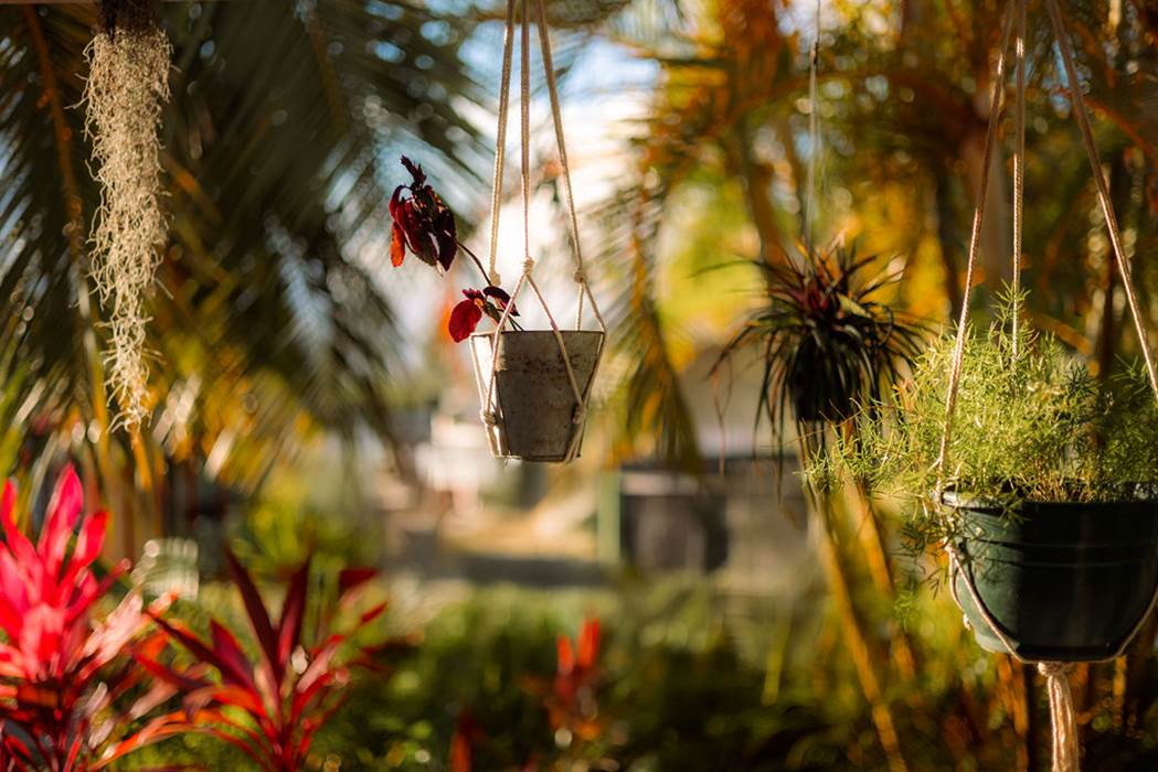 .-little-img-gallery