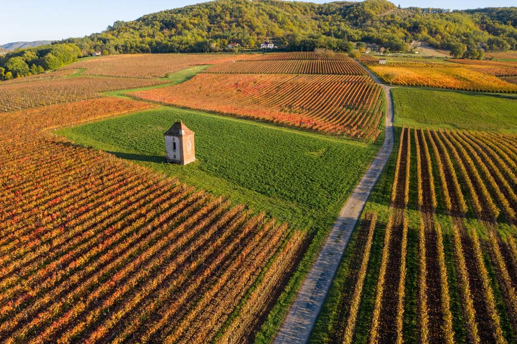 201030163933 Vignoble et maison de vigne à Albas en automne © C. Novello - Lot Tourisme_2048x1364-little-img-gallery