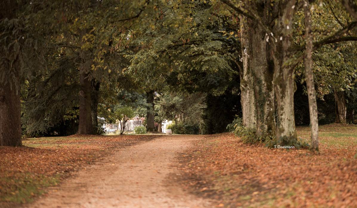 D950DE2F-D943-474A-99FD-75BE1457CDC0_1_201_a-little-img-gallery