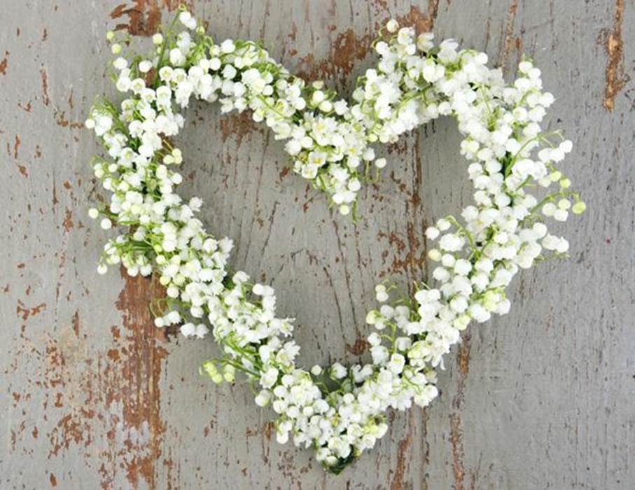 Amour-little-img-gallery