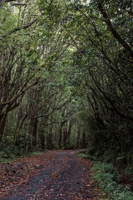 .-little-img-gallery