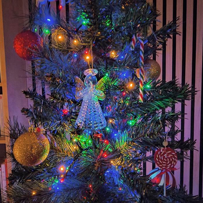 Nöel-chambres-hôtes-La Flèche-little-img-gallery